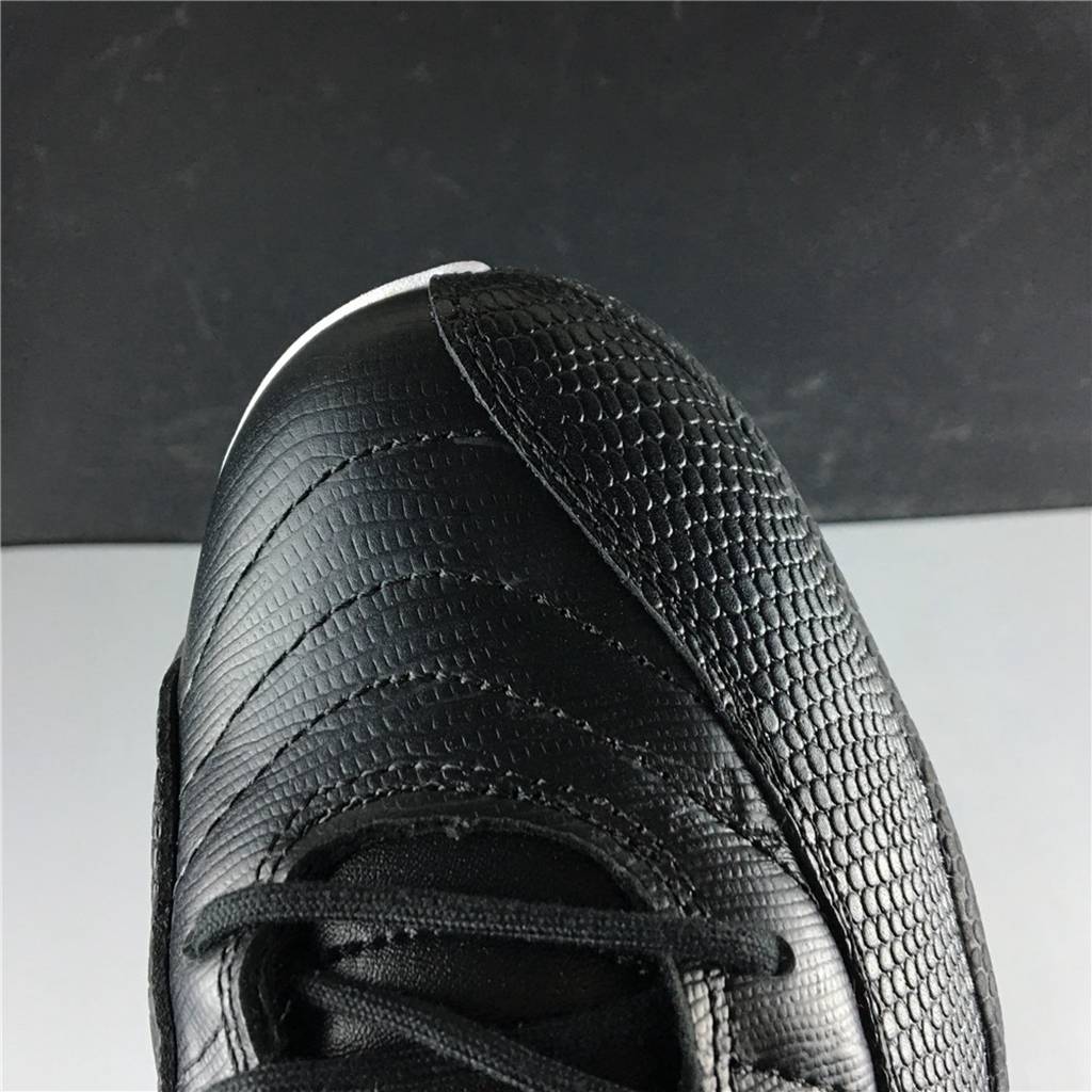 Wings Air Jordan 12 WMNS AO6068-007